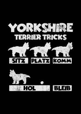 Yorkshire Terrier Dog Tric