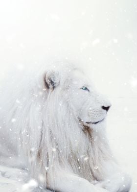 White Lion King Winter