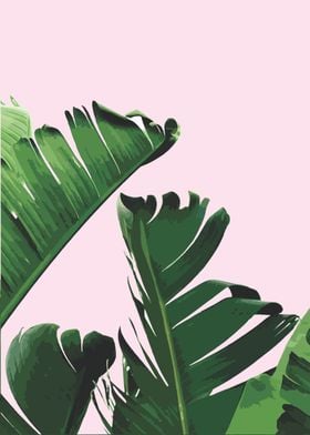 Banana Leaves