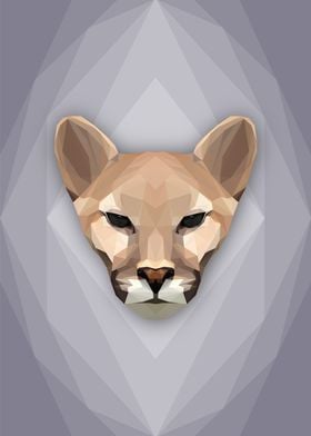 Mountain Lion