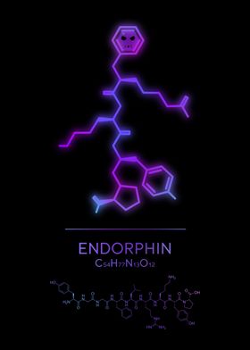 Neon Endorphin