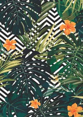 Monstera tropical pattern