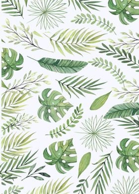 Monstera pattern