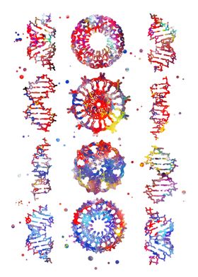 DNA molecule 