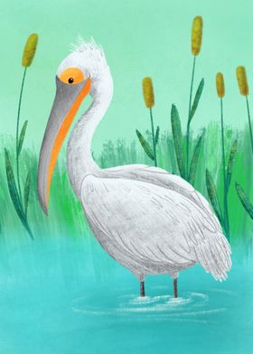 Dalmatian pelican