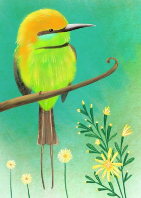 Bee eater