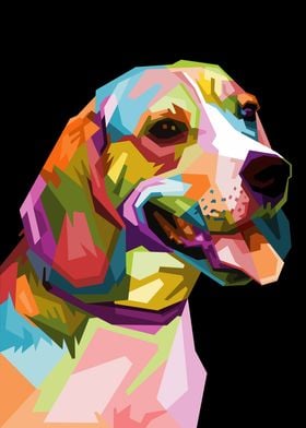 colorful beagle dog