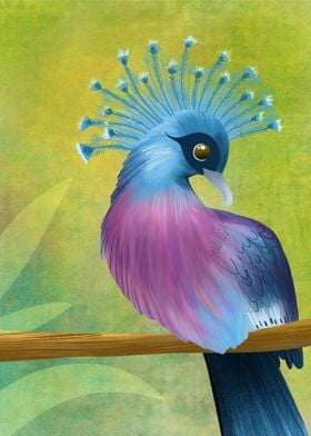 Victoria Crowned Pigeon