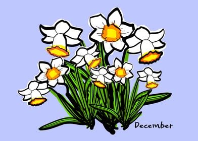  December birth flower