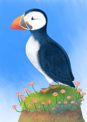 Puffin