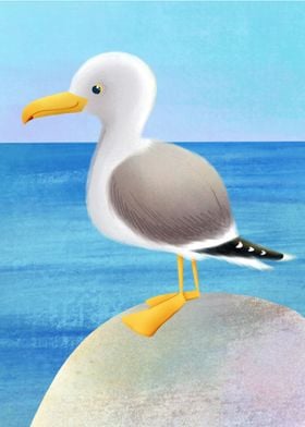 Yellow Legged Gull