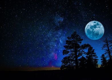 Moon Night Landscape