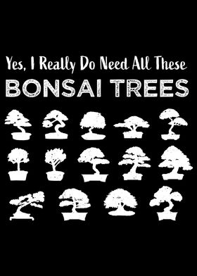 Funny Bonsai Tree Care