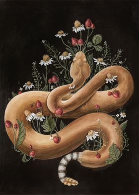 Snake and strawberries