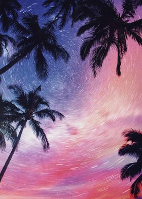starry trees
