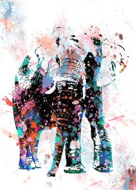 Elephant 