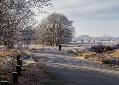 Landscape winter frost