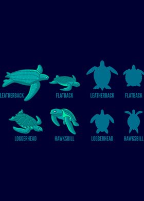 TYPES OF TURTLES Turtle