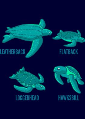 TYPES OF TURTLES Turtle