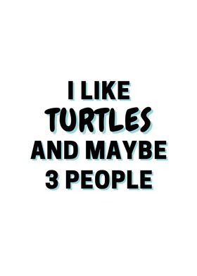 I Like Turtles And Maybe 3