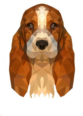 Basset