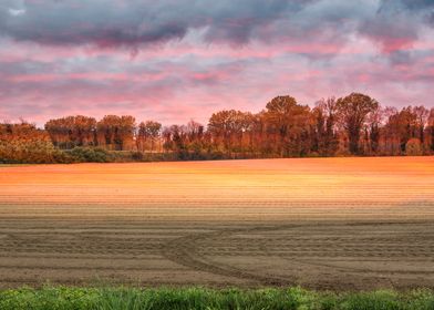 cultivated field and cloud