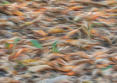 autumn leaf on meadow