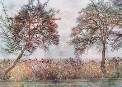 bare trees on the seashore