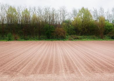 cultivated field and cloud