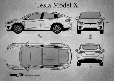 Tesla Model X  gray old 