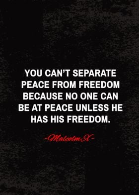 malcolm x quotes