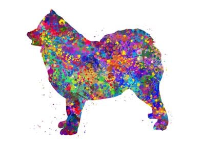 Samoyed dog watercolor