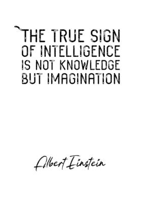 Albert Einstein Quote 5