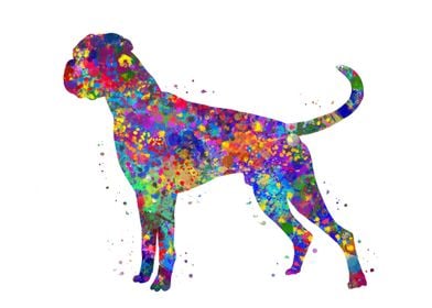Boxer Dog watercolor