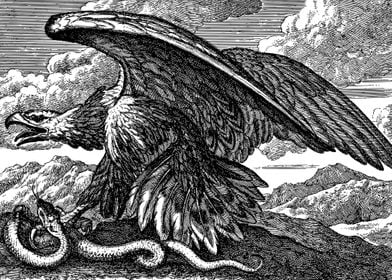 eagle vs snake