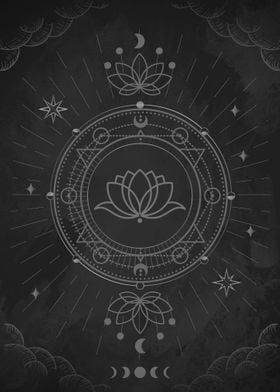 Lotus