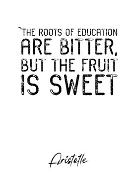Aristotle Quote 5