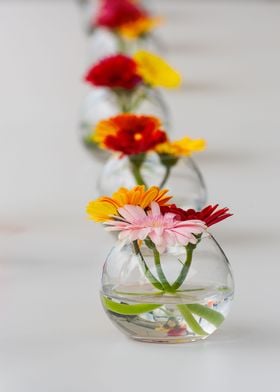 Aligned flowers on table