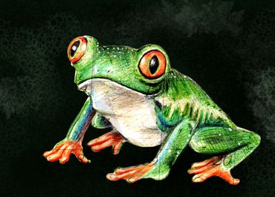 Frog boligrafo