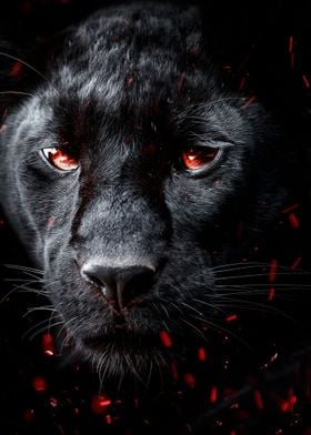 Black panther on fire 