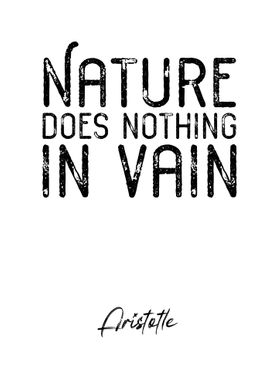 Aristotle Quote 1
