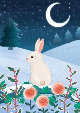 Snow hare