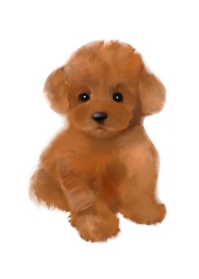 Toy poodle mini poodle art