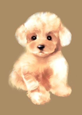 Toy poodle puppy art