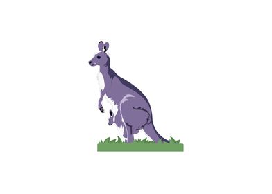 Kangaroo illustration