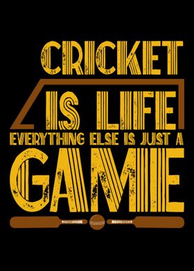 Cricket Player Batsman