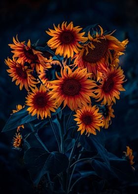 Sunflower hydra 