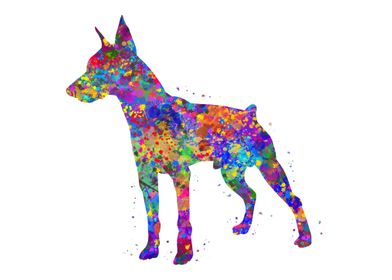 Doberman dog watercolor