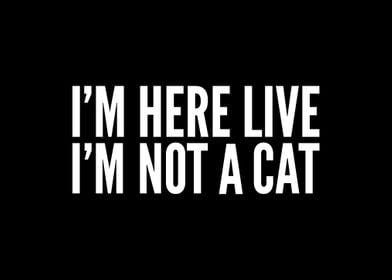 Im here live Im not a cat