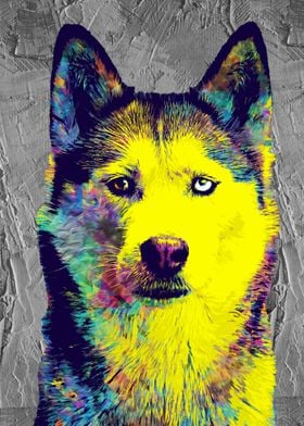 Husky Pet Pop Art Colorful